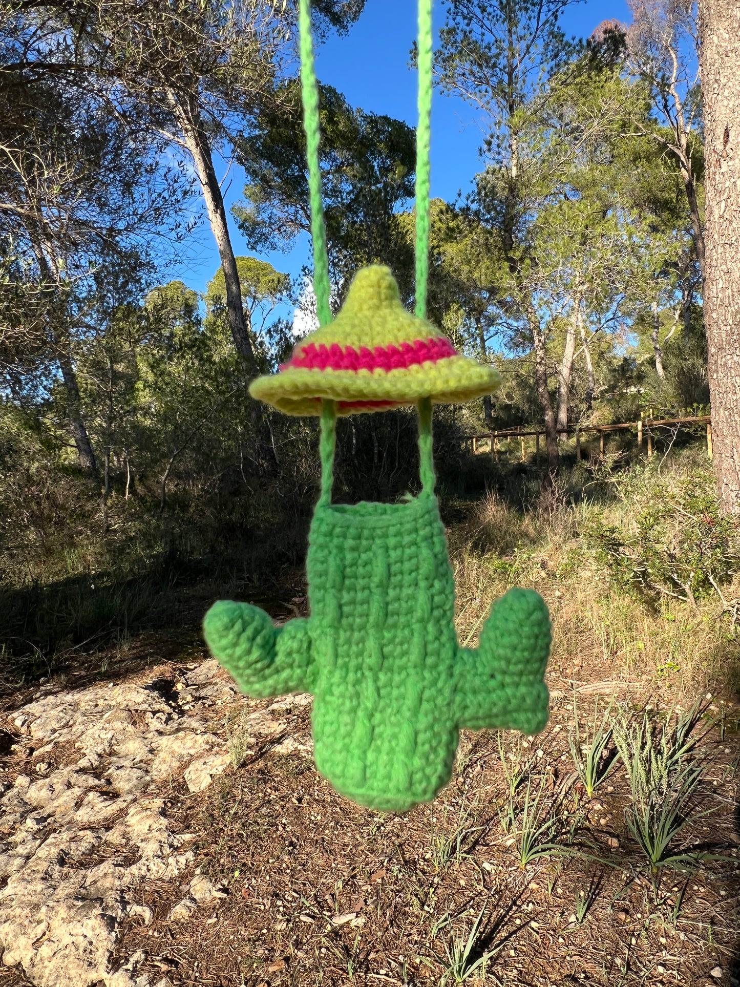 !POPULAR! Crochet Cactus Lighter Holder - MADE TO ORDER
